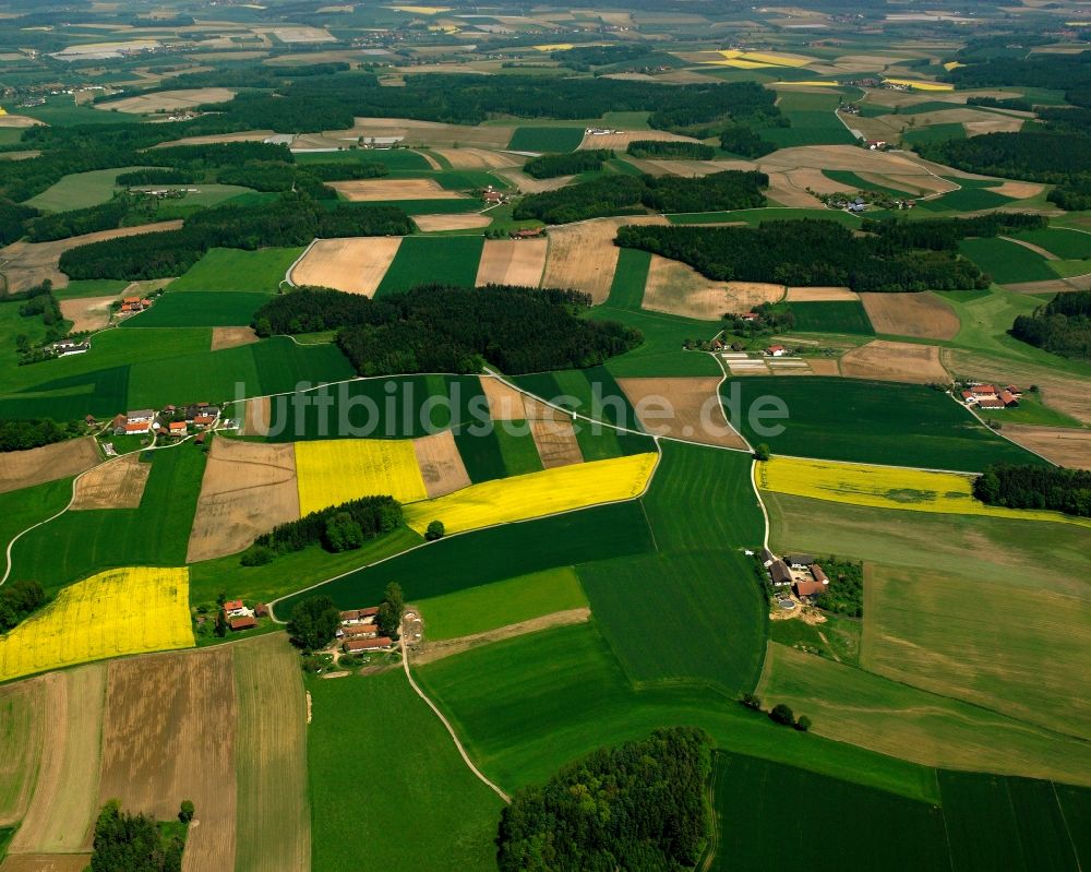 Bergham von oben - Feld- Landschaft gelb blühender Raps- Blüten in Bergham im Bundesland Bayern, Deutschland