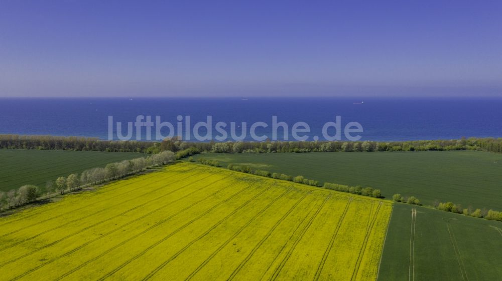 Luftbild Diedrichshagen - Feld- Landschaft gelb blühender Raps- Blüten in Diedrichshagen im Bundesland Mecklenburg-Vorpommern, Deutschland