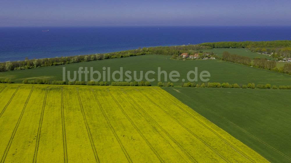 Luftaufnahme Diedrichshagen - Feld- Landschaft gelb blühender Raps- Blüten in Diedrichshagen im Bundesland Mecklenburg-Vorpommern, Deutschland