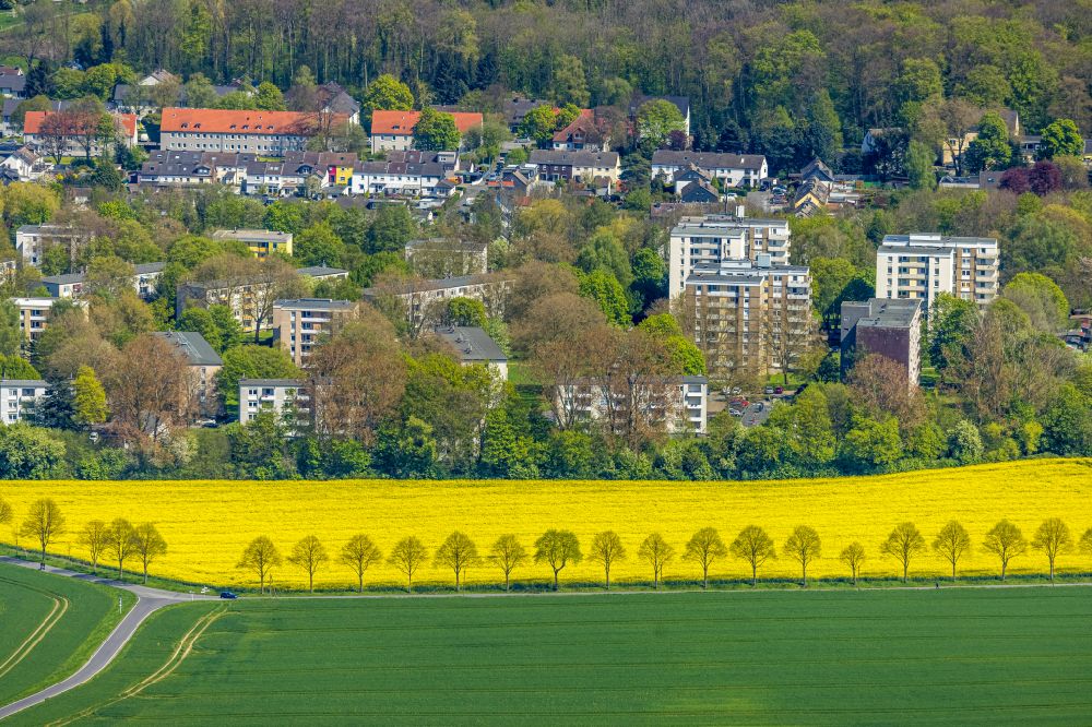 Luftaufnahme Dortmund - Feld- Landschaft gelb blühender Raps- Blüten in Dortmund im Bundesland Nordrhein-Westfalen, Deutschland