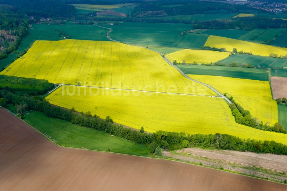 Luftbild Esebeck - Feld- Landschaft gelb blühender Raps- Blüten in Esebeck im Bundesland Niedersachsen, Deutschland