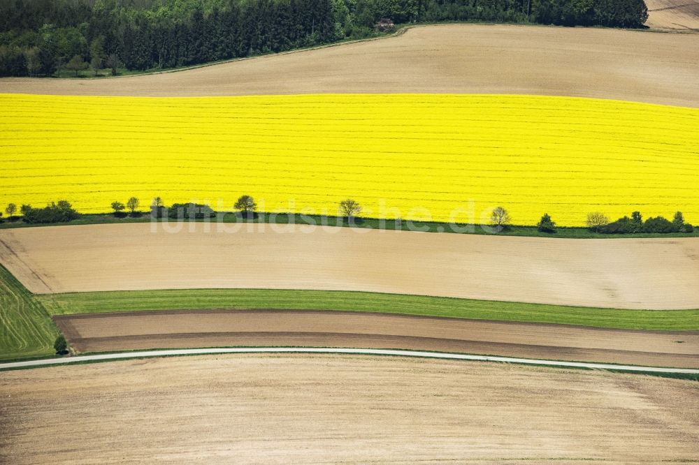 Falkenberg aus der Vogelperspektive: Feld- Landschaft gelb blühender Raps- Blüten in Falkenberg im Bundesland Bayern, Deutschland