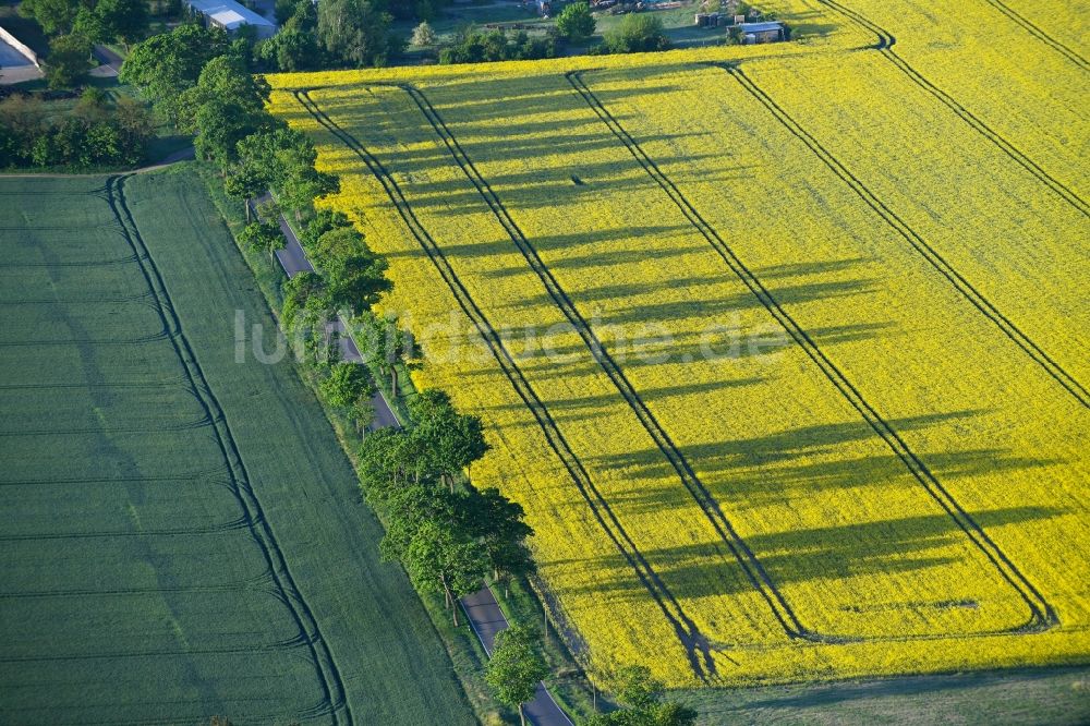 Luftaufnahme Flatow - Feld- Landschaft gelb blühender Raps- Blüten in Flatow im Bundesland Brandenburg, Deutschland