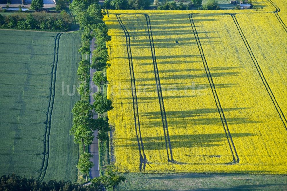 Flatow von oben - Feld- Landschaft gelb blühender Raps- Blüten in Flatow im Bundesland Brandenburg, Deutschland