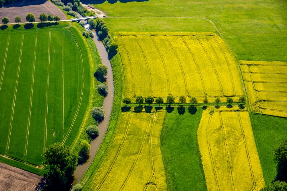 Luftaufnahme Gelmer - Feld- Landschaft gelb blühender Raps- Blüten in Gelmer im Bundesland Nordrhein-Westfalen, Deutschland