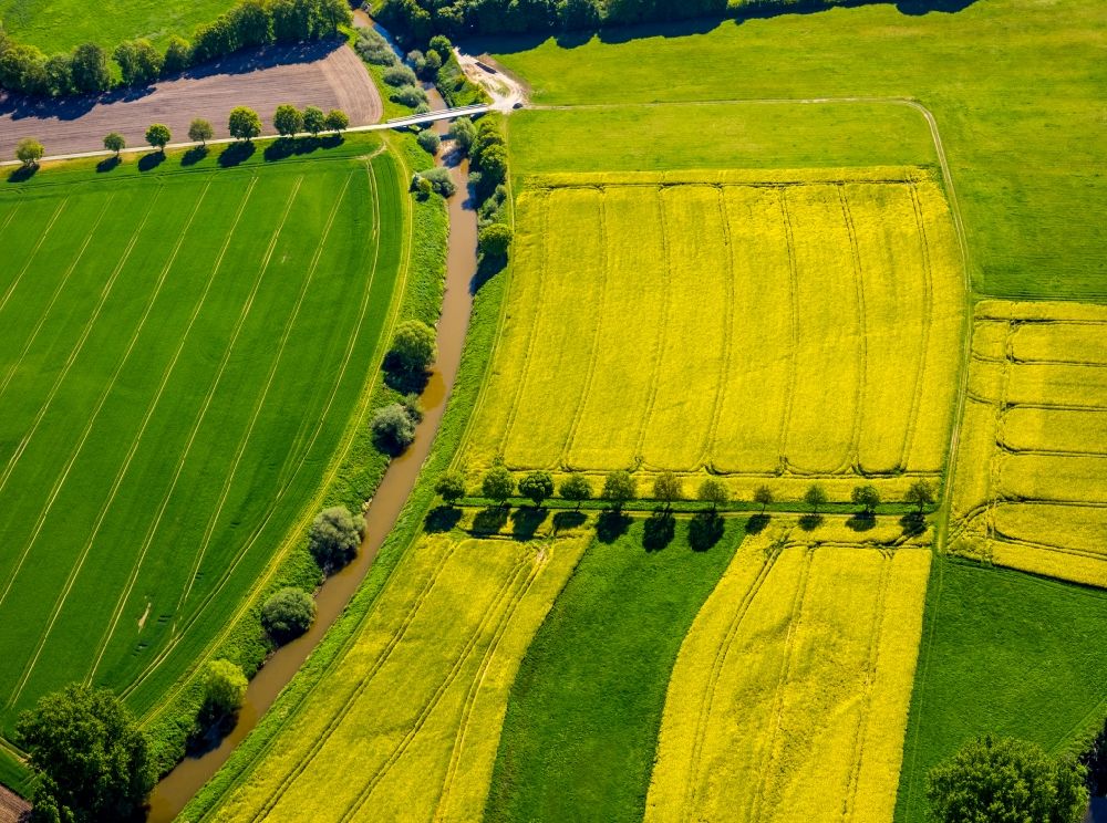Gelmer aus der Vogelperspektive: Feld- Landschaft gelb blühender Raps- Blüten in Gelmer im Bundesland Nordrhein-Westfalen, Deutschland