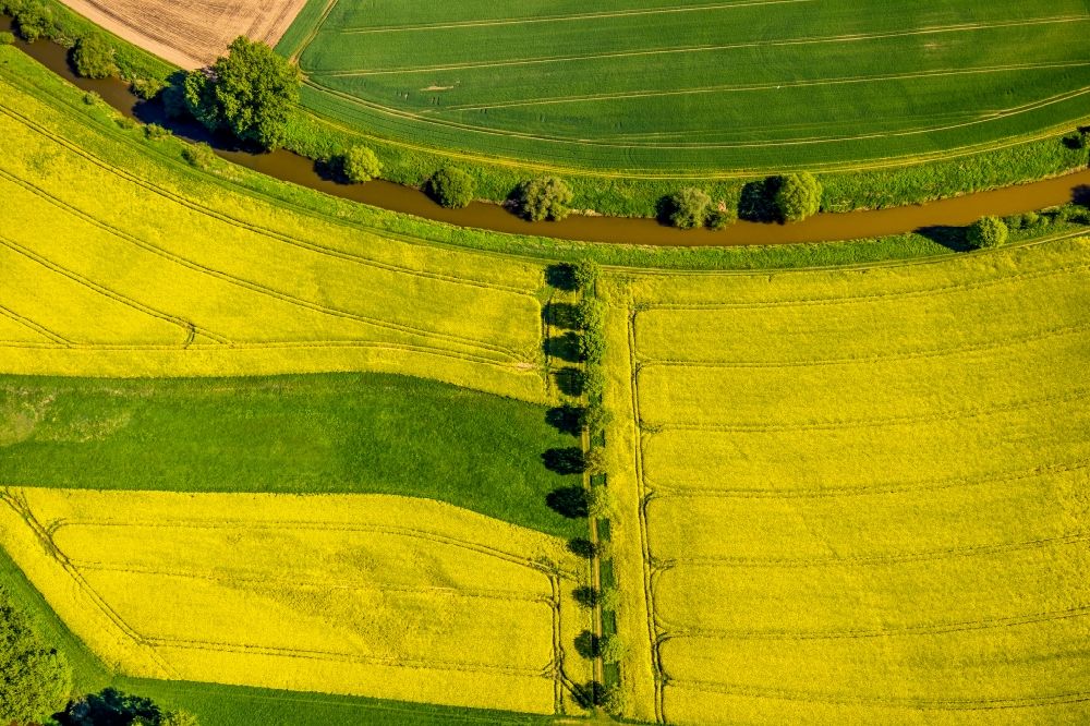 Luftaufnahme Gelmer - Feld- Landschaft gelb blühender Raps- Blüten in Gelmer im Bundesland Nordrhein-Westfalen, Deutschland
