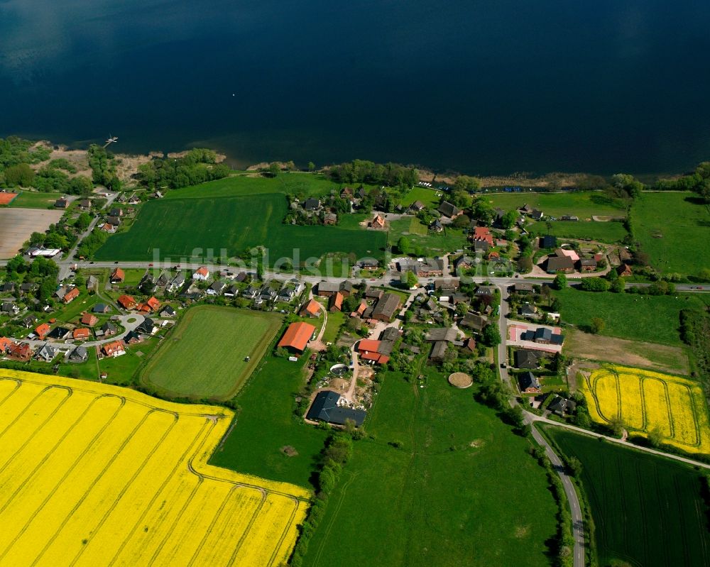 Groß Sarau von oben - Feld- Landschaft gelb blühender Raps- Blüten in Groß Sarau im Bundesland Schleswig-Holstein, Deutschland
