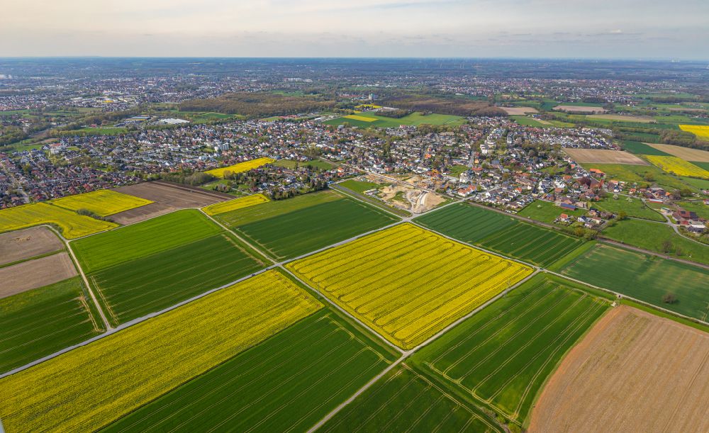 Hamm aus der Vogelperspektive: Feld- Landschaft gelb blühender Raps- Blüten in Hamm im Bundesland Nordrhein-Westfalen, Deutschland
