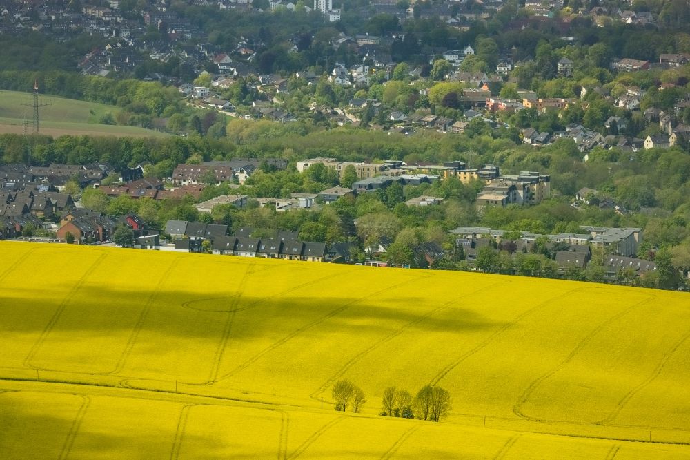 Heiligenhaus von oben - Feld- Landschaft gelb blühender Raps- Blüten in Heiligenhaus im Bundesland Nordrhein-Westfalen, Deutschland