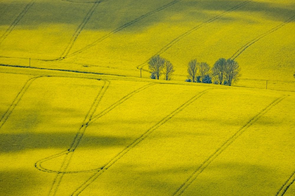 Luftbild Heiligenhaus - Feld- Landschaft gelb blühender Raps- Blüten in Heiligenhaus im Bundesland Nordrhein-Westfalen, Deutschland