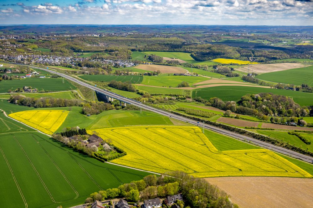 Heiligenhaus von oben - Feld- Landschaft gelb blühender Raps- Blüten in Heiligenhaus im Bundesland Nordrhein-Westfalen, Deutschland