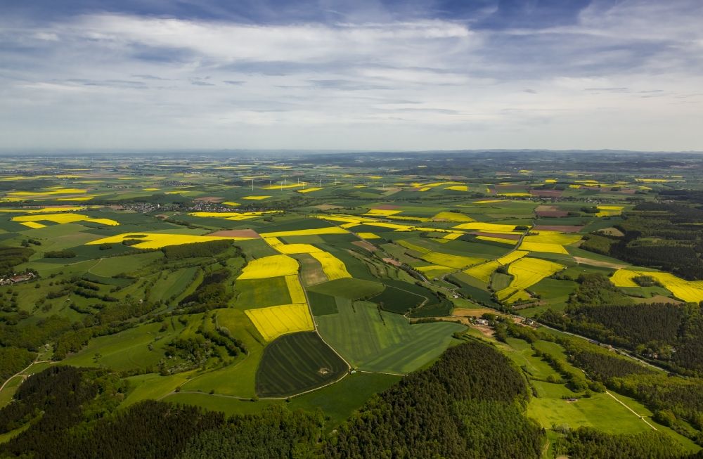 Luftbild Heimbach - Feld- Landschaft gelb blühender Raps- Blüten in Heimbach im Bundesland Nordrhein-Westfalen