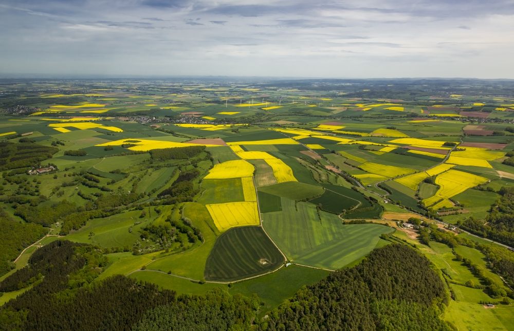 Luftaufnahme Heimbach - Feld- Landschaft gelb blühender Raps- Blüten in Heimbach im Bundesland Nordrhein-Westfalen