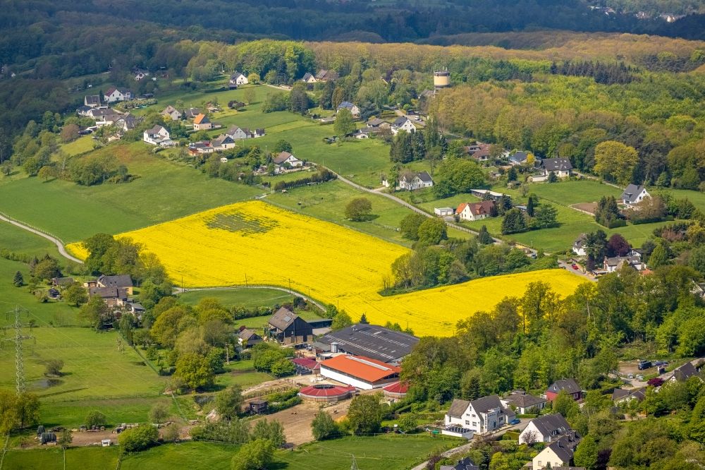 Herdecke aus der Vogelperspektive: Feld- Landschaft gelb blühender Raps- Blüten in Herdecke im Bundesland Nordrhein-Westfalen, Deutschland