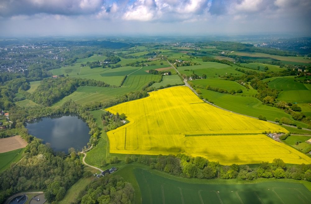 Luftbild Hessenbleck - Feld- Landschaft gelb blühender Raps- Blüten in Hessenbleck im Bundesland Nordrhein-Westfalen, Deutschland