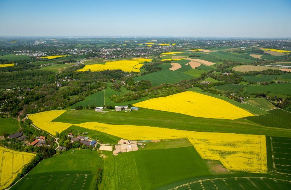 Luftbild Homberg - Feld- Landschaft gelb blühender Raps- Blüten in Homberg im Bundesland Nordrhein-Westfalen