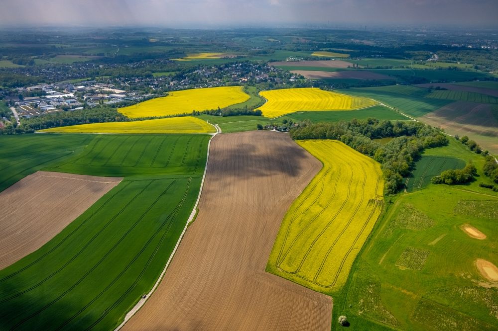 Luftbild Homberg - Feld- Landschaft gelb blühender Raps- Blüten in Homberg im Bundesland Nordrhein-Westfalen, Deutschland