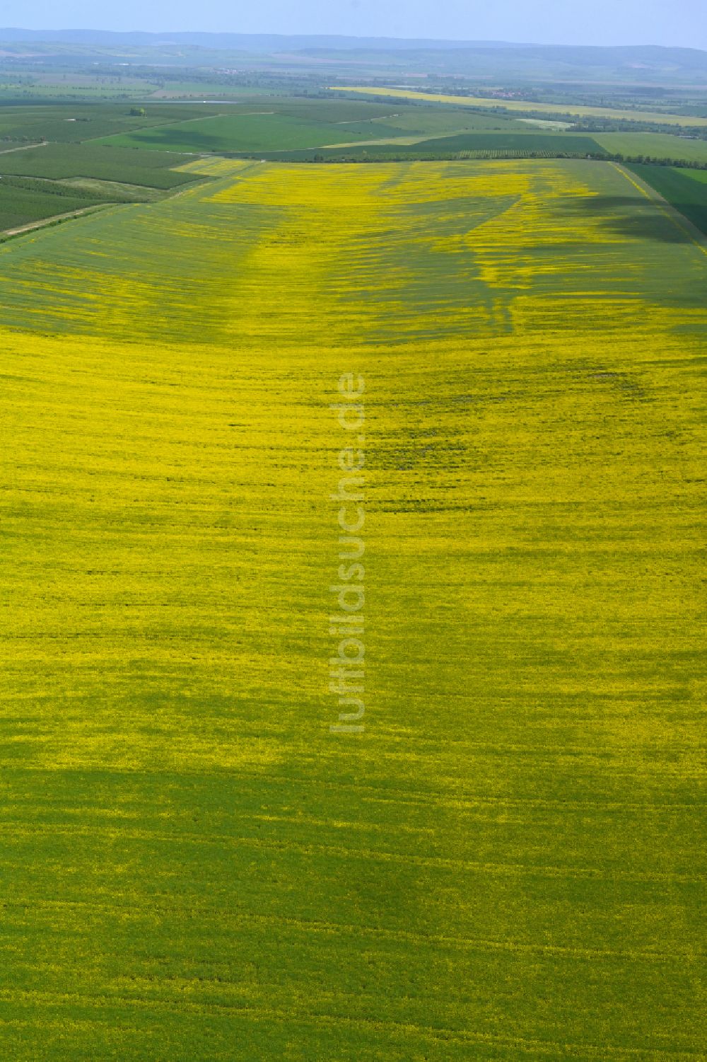 Luftaufnahme Kindelbrück - Feld- Landschaft gelb blühender Raps- Blüten in Kindelbrück im Bundesland Thüringen, Deutschland
