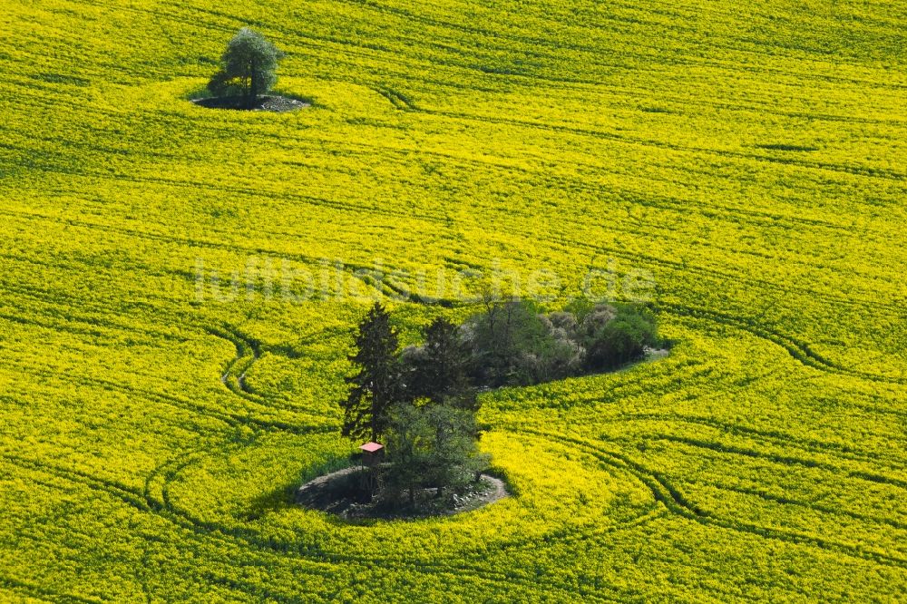 Laeven aus der Vogelperspektive: Feld- Landschaft gelb blühender Raps- Blüten in Laeven im Bundesland Mecklenburg-Vorpommern, Deutschland