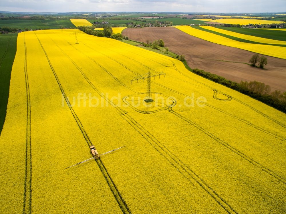 Langenleuba-Oberhain aus der Vogelperspektive: Feld- Landschaft gelb blühender Raps- Blüten in Langenleuba-Oberhain im Bundesland Sachsen, Deutschland