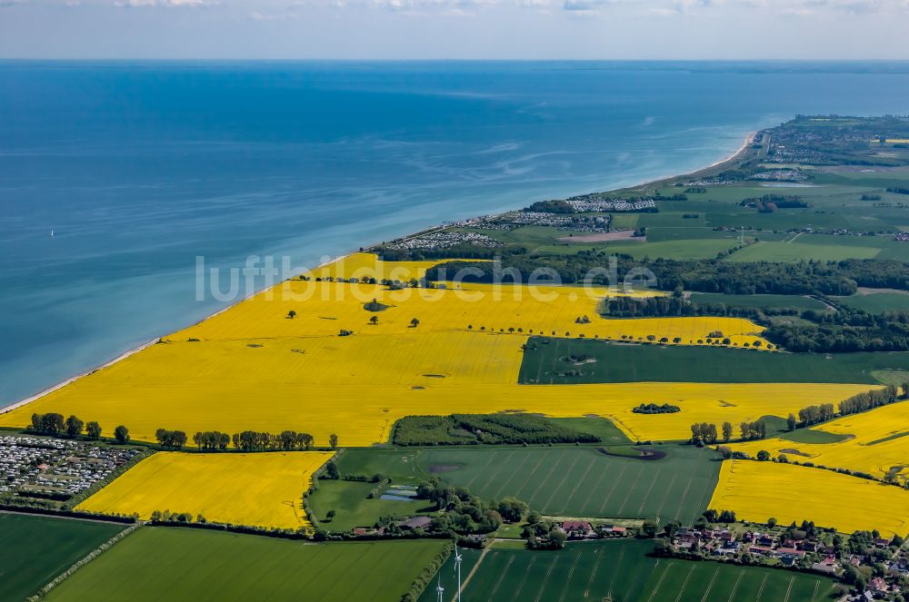 Luftaufnahme Heringsdorf - Feld- Landschaft gelb blühender Raps- Blüten an der Meeresküste der Ostsee in Heringsdorf im Bundesland Schleswig-Holstein, Deutschland