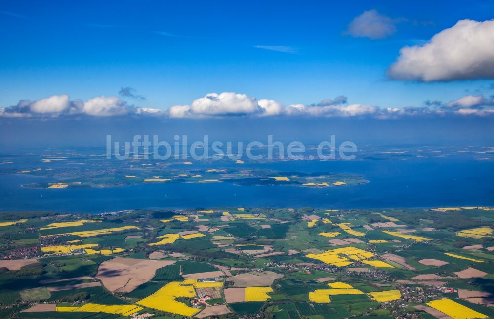 Luftbild Mittelangeln - Feld- Landschaft gelb blühender Raps- Blüten in Mittelangeln im Bundesland Schleswig-Holstein, Deutschland
