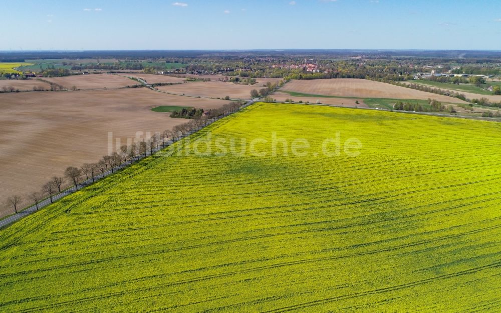 Luftbild Müncheberg - Feld- Landschaft gelb blühender Raps- Blüten in Müncheberg im Bundesland Brandenburg, Deutschland