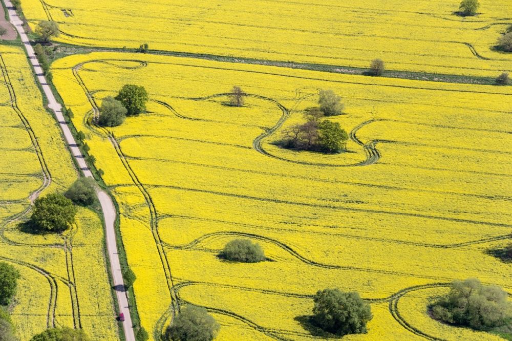 Luftaufnahme Muldestausee - Feld- Landschaft gelb blühender Raps- Blüten in Muldestausee im Bundesland Sachsen-Anhalt