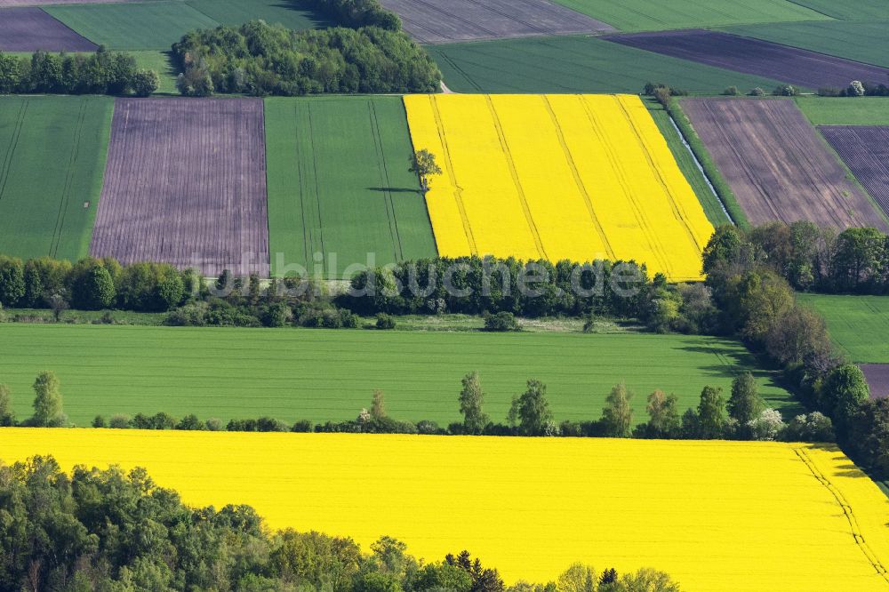 Obergrashof von oben - Feld- Landschaft gelb blühender Raps- Blüten in Obergrashof im Bundesland Bayern, Deutschland