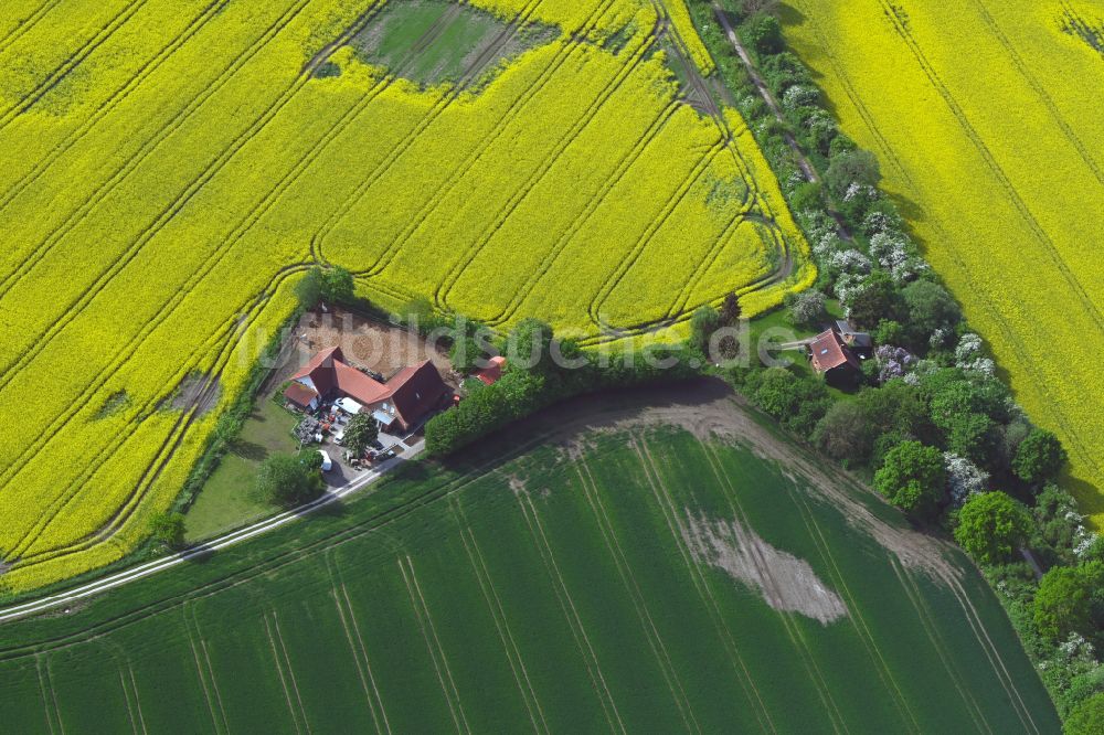 Ohldörp von oben - Feld- Landschaft gelb blühender Raps- Blüten in Ohldörp im Bundesland Schleswig-Holstein, Deutschland