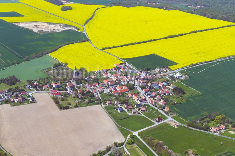 Luftaufnahme Quatitz - Feld- Landschaft gelb blühender Raps- Blüten in Quatitz im Bundesland Sachsen, Deutschland