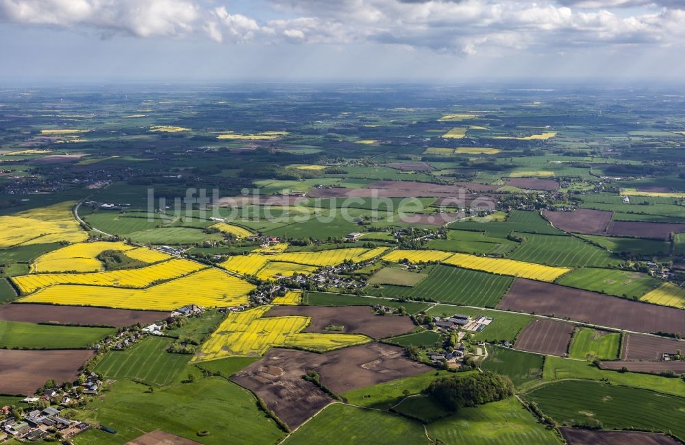 Luftbild Quern - Feld- Landschaft gelb blühender Raps- Blüten in Quern im Bundesland Schleswig-Holstein, Deutschland