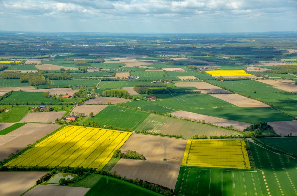 Rieth von oben - Feld- Landschaft gelb blühender Raps- Blüten in Rieth im Bundesland Nordrhein-Westfalen, Deutschland