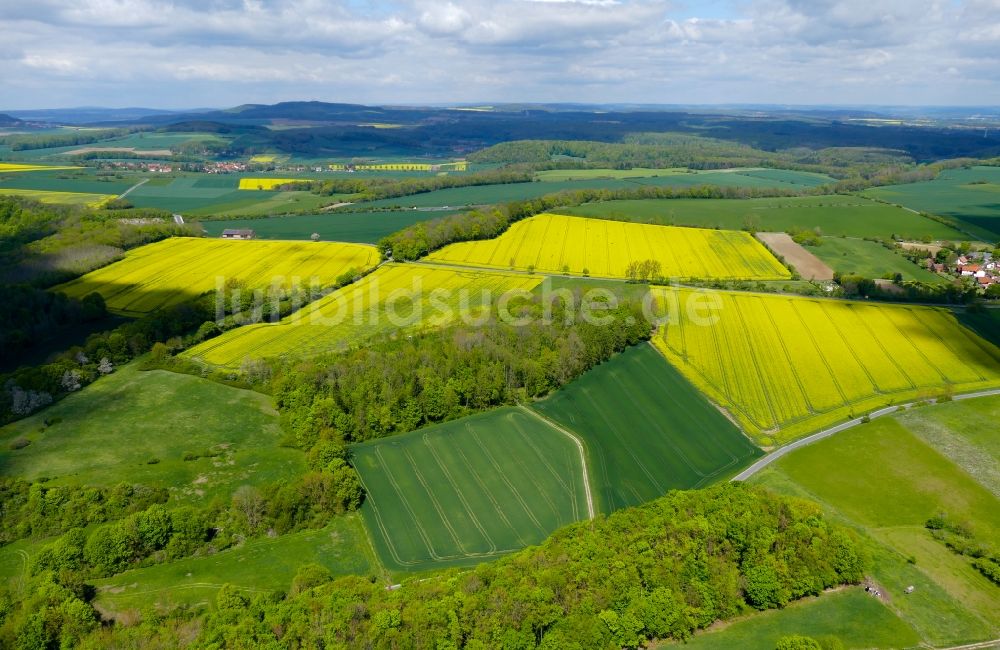 Luftbild Rosdorf - Feld- Landschaft gelb blühender Raps- Blüten in Rosdorf im Bundesland Niedersachsen, Deutschland