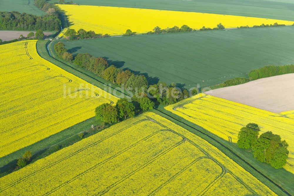 Luftbild Sanne-Kerkuhn - Feld- Landschaft gelb blühender Raps- Blüten in Sanne-Kerkuhn im Bundesland Sachsen-Anhalt, Deutschland
