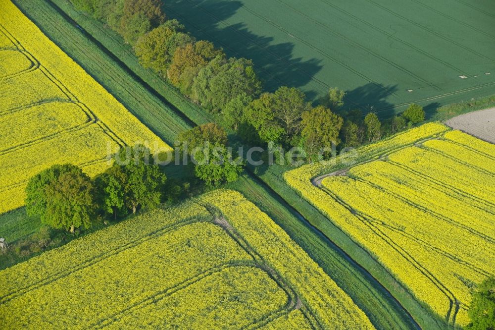 Luftaufnahme Sanne-Kerkuhn - Feld- Landschaft gelb blühender Raps- Blüten in Sanne-Kerkuhn im Bundesland Sachsen-Anhalt, Deutschland