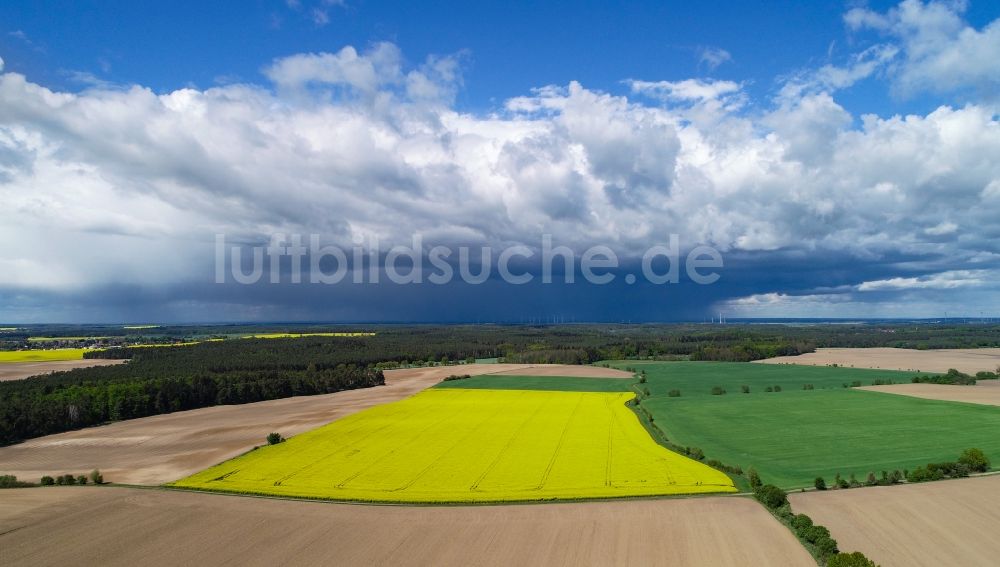 Luftbild Sieversdorf - Feld- Landschaft gelb blühender Raps- Blüten in Sieversdorf im Bundesland Brandenburg, Deutschland