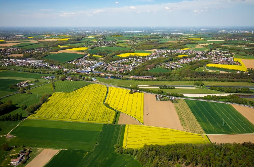 Sümmern aus der Vogelperspektive: Feld- Landschaft gelb blühender Raps- Blüten in Sümmern im Bundesland Nordrhein-Westfalen, Deutschland