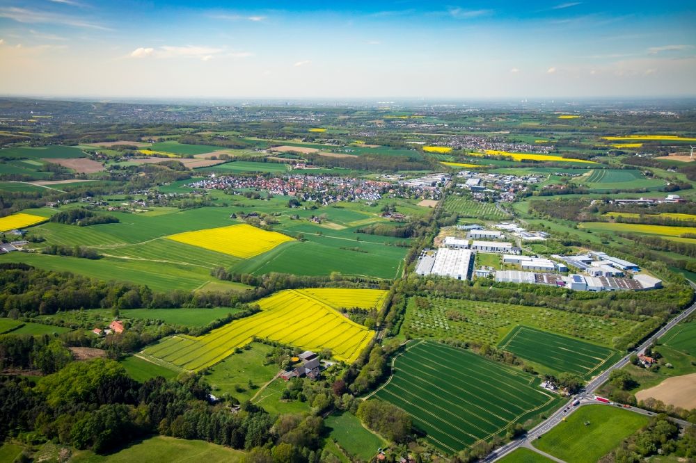 Luftbild Sümmern - Feld- Landschaft gelb blühender Raps- Blüten in Sümmern im Bundesland Nordrhein-Westfalen, Deutschland