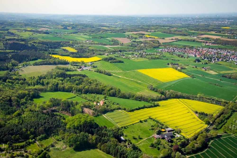 Luftaufnahme Sümmern - Feld- Landschaft gelb blühender Raps- Blüten in Sümmern im Bundesland Nordrhein-Westfalen, Deutschland