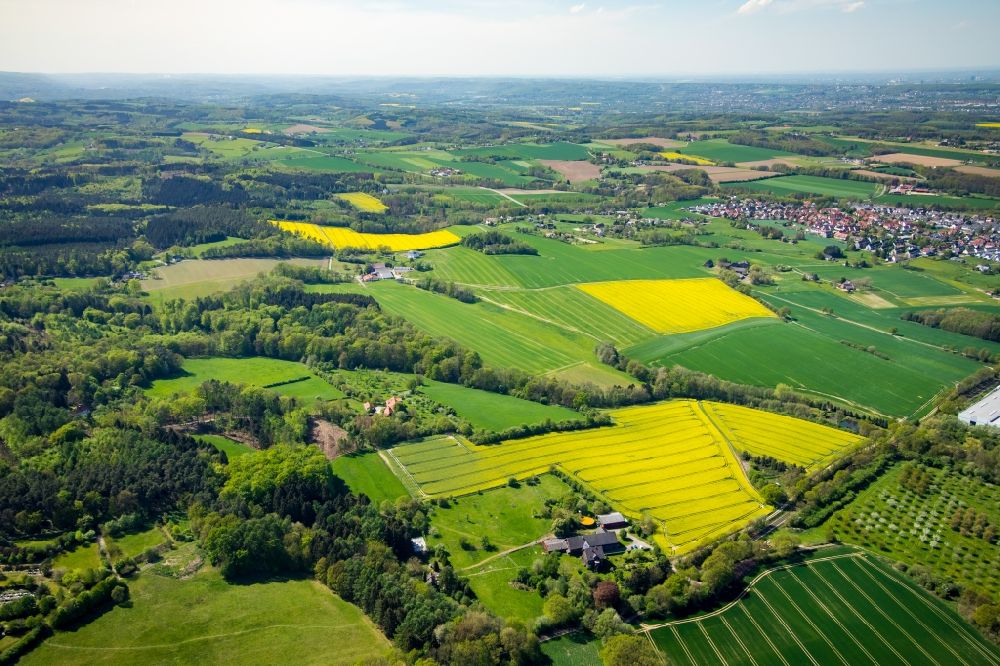 Sümmern von oben - Feld- Landschaft gelb blühender Raps- Blüten in Sümmern im Bundesland Nordrhein-Westfalen, Deutschland