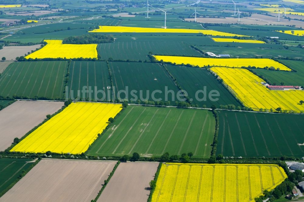 Luftaufnahme Traventhal - Feld- Landschaft gelb blühender Raps- Blüten in Traventhal im Bundesland Schleswig-Holstein, Deutschland