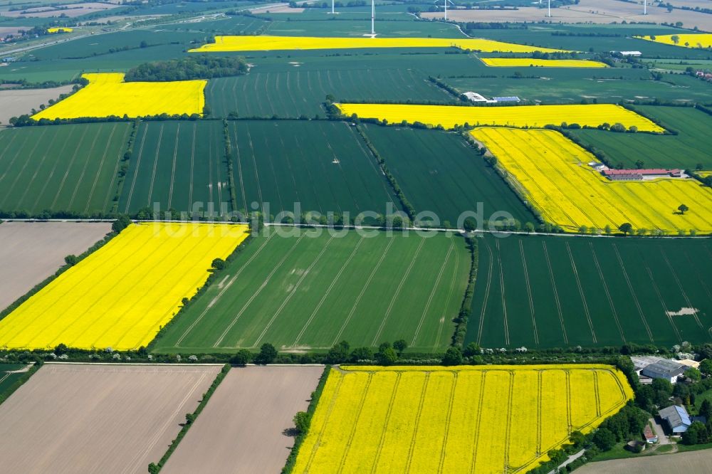 Traventhal von oben - Feld- Landschaft gelb blühender Raps- Blüten in Traventhal im Bundesland Schleswig-Holstein, Deutschland