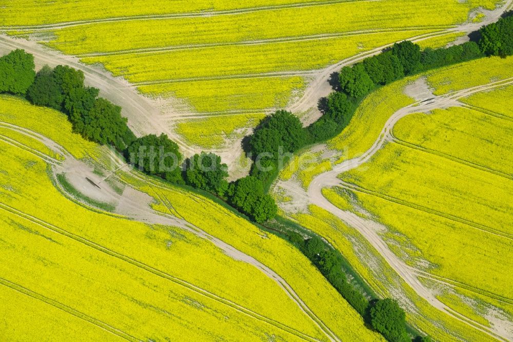 Luftaufnahme Zarpen - Feld- Landschaft gelb blühender Raps- Blüten in Zarpen im Bundesland Schleswig-Holstein, Deutschland