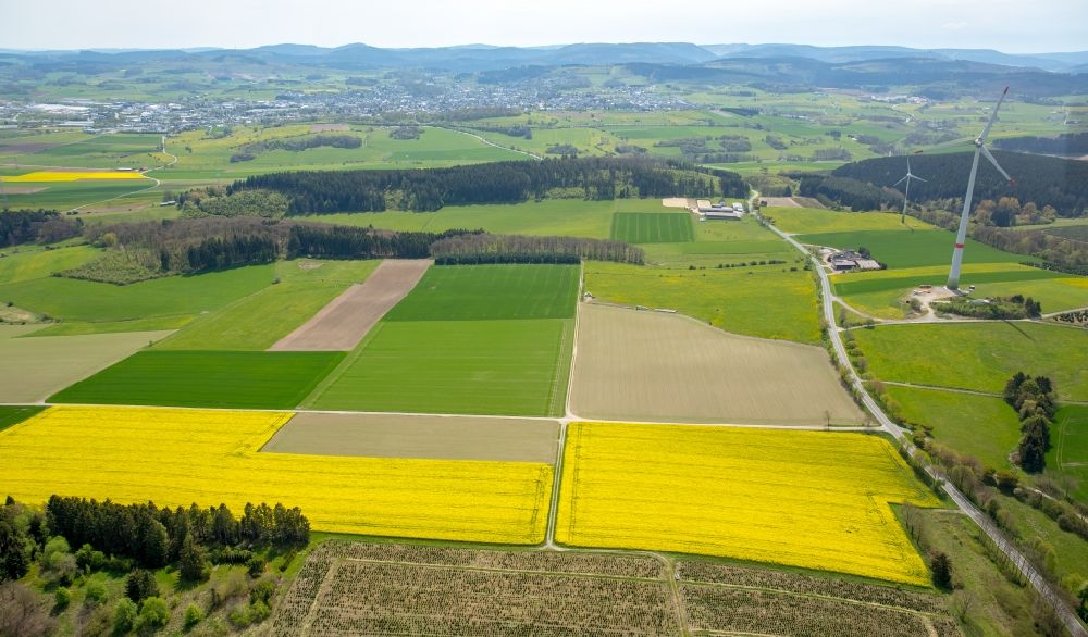 Scharfenberg von oben - Feld- Landschaft gelb blühender Raps- Blüten zusammen mit grünen Feldern in Scharfenberg im Bundesland Nordrhein-Westfalen, Deutschland