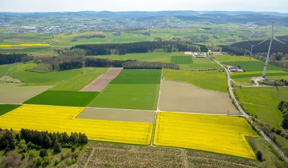Scharfenberg aus der Vogelperspektive: Feld- Landschaft gelb blühender Raps- Blüten zusammen mit grünen Feldern in Scharfenberg im Bundesland Nordrhein-Westfalen, Deutschland