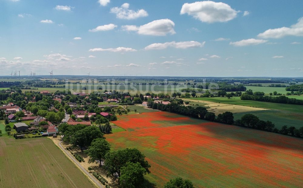Friedersdorf aus der Vogelperspektive: Feld- Landschaft rot blühender Mohn- Blüten in Friedersdorf im Bundesland Brandenburg, Deutschland