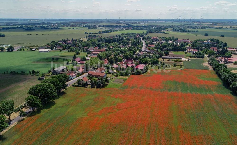 Luftbild Friedersdorf - Feld- Landschaft rot blühender Mohn- Blüten in Friedersdorf im Bundesland Brandenburg, Deutschland