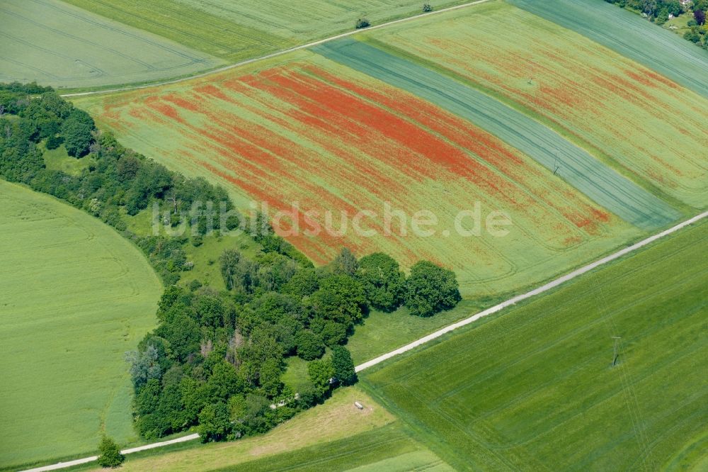 Luftbild Göttingen - Feld- Landschaft rot blühender Mohn- Blüten in Göttingen im Bundesland Niedersachsen, Deutschland